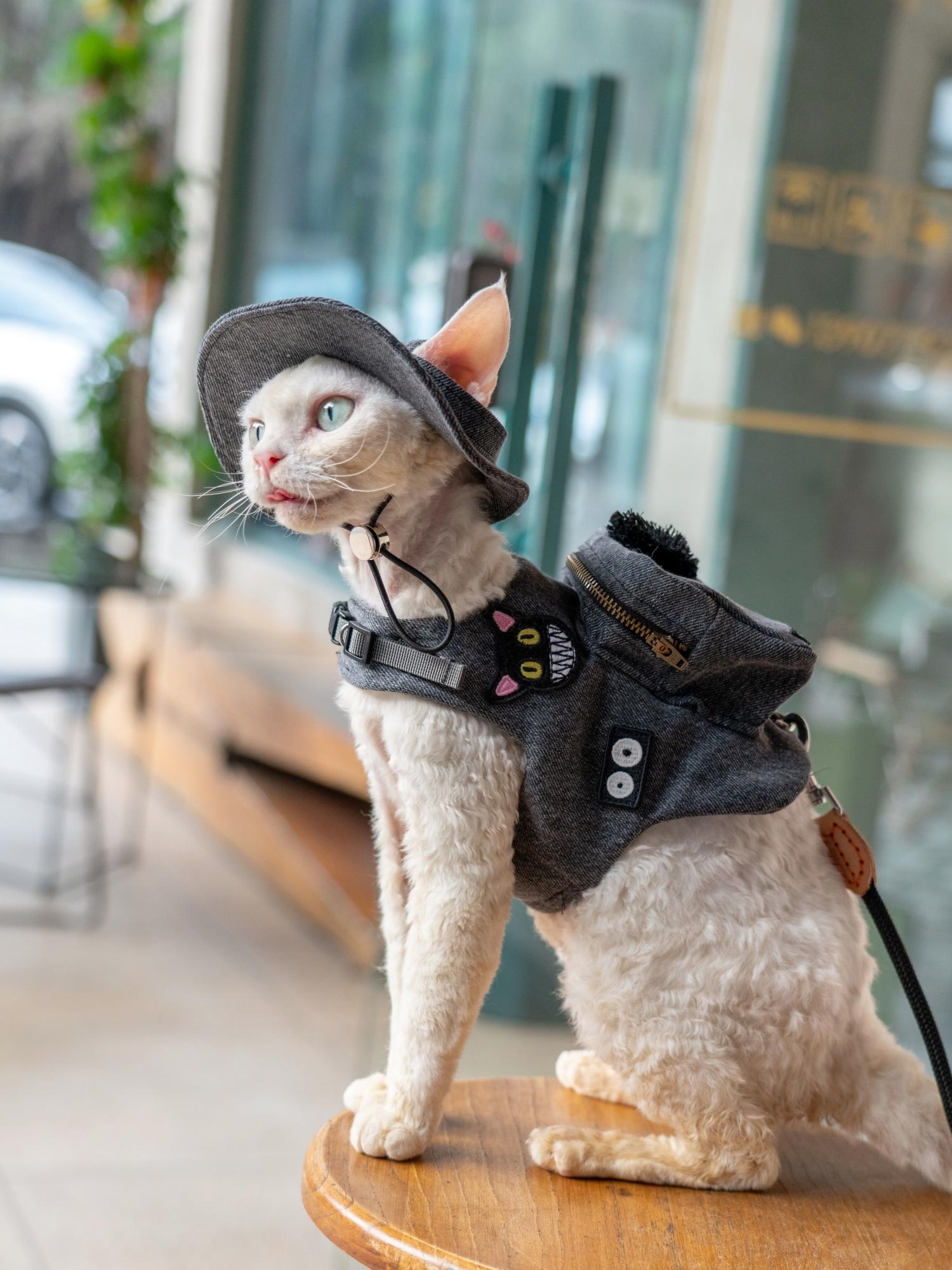 手作りの猫のトラベルキャリア,黒いスナックバッグ,かわいいペ - Luxury Bags Cute のレビューと価格